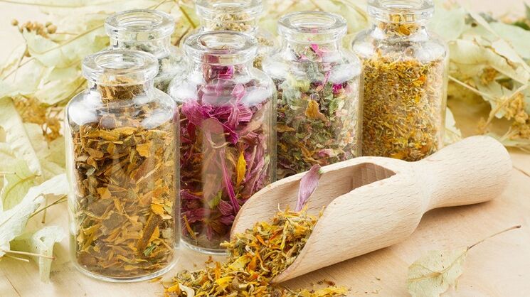 herbs to cleanse the body of parasites