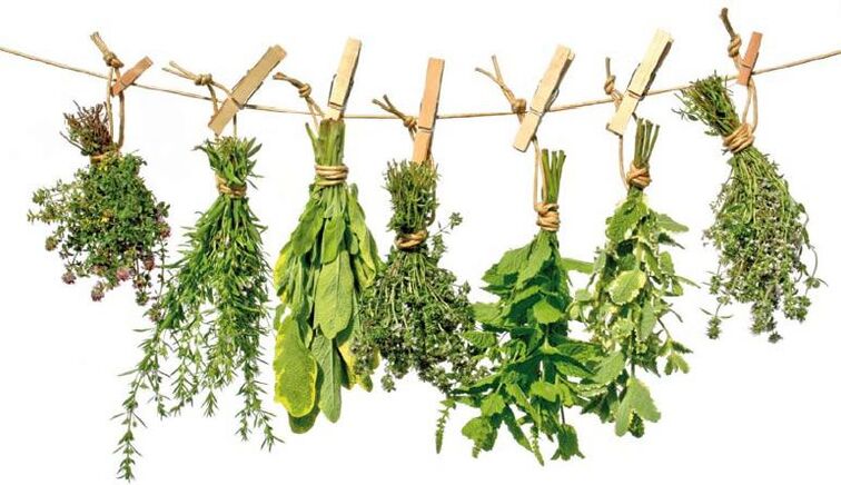 Medicinal herbs with antiparasitic properties